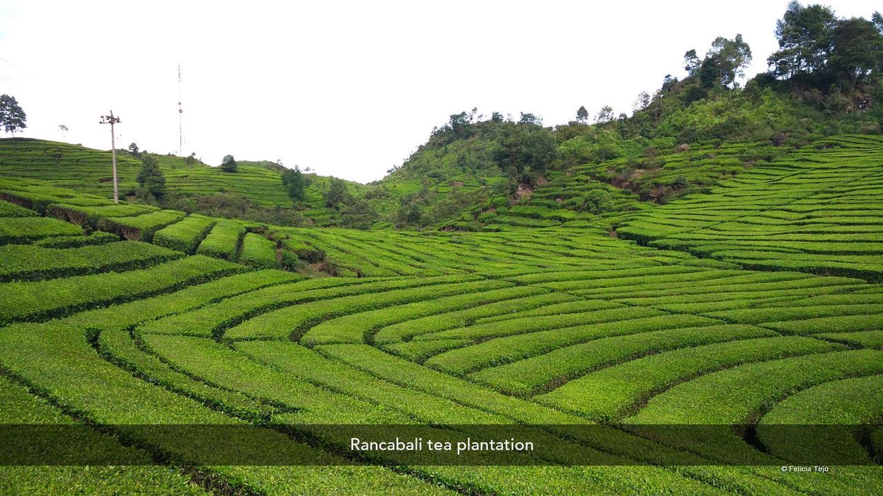 Zen Premium Near Rumah Mode Bandung Bagian luar foto